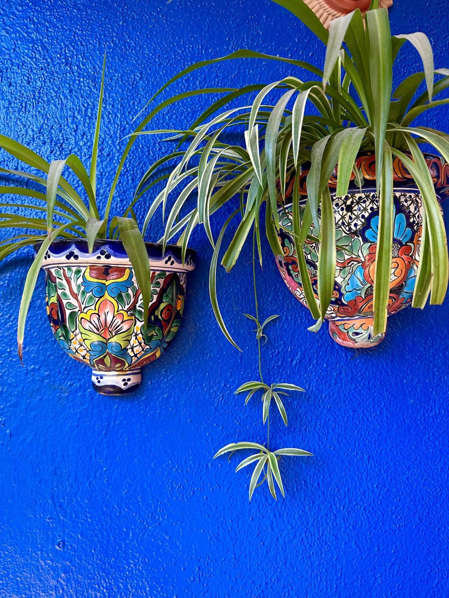 Siesta Suites Boutique Hotel Cabo San Lucas Exteriér fotografie